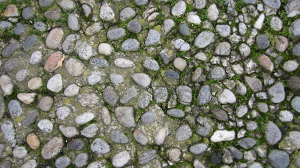 small-stones sidewalk slightly covered with moss