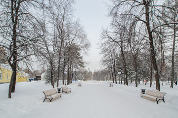 City Park in winter, covered with snow