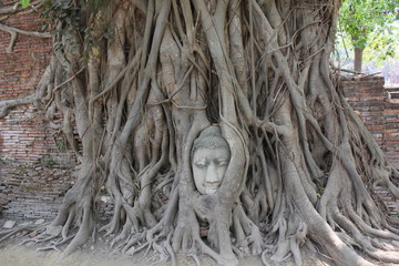 Ayutthaya - Thailand - Tempel
