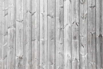 white pine wood plank texture background. White wooden wall.