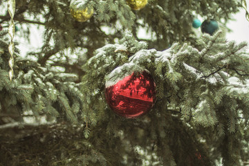 Red ball. Christmas tree decoration.