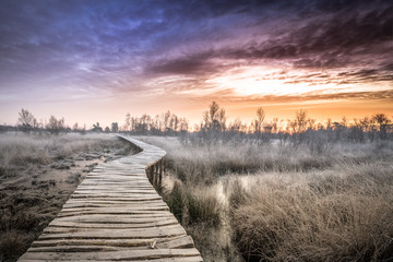 sunrise in Limburg. Wooden pathway through national park de groote peel on the border between Limburg and North Brabant in the Netherlands. Winter landscape.