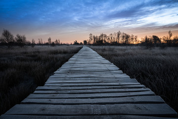 sunrise in Limburg. Wooden pathway through national park de groote peel on the border between Limburg and North Brabant in the Netherlands. Winter landscape.