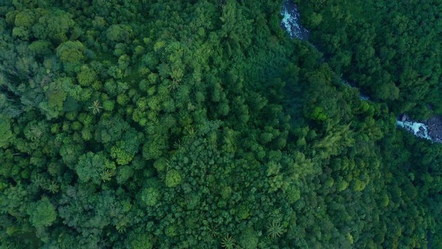 4K  Aerial footage of beautiful nature fresh green rainfores at Sabah, Borneo