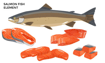 Salmon Fish Collection isolated on white background. Fillet, Slice vector illustration