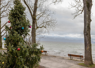 Fototapeta na wymiar Weihnachtsbaum am Chiemsee