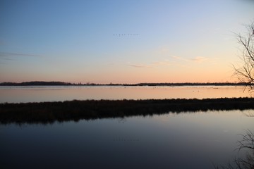 Fototapeta premium PAESAGGIO INVERNALE CON FENICOTTERI