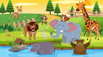Background scene with many wild animals in the park