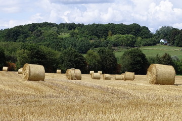 Fototapeta premium Strohballen auf dem Feld