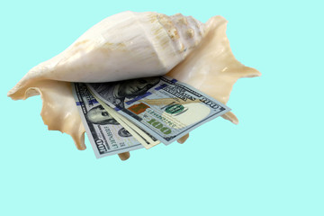A few US banknotes lie in a seashell. Concept of saving money for vacation.