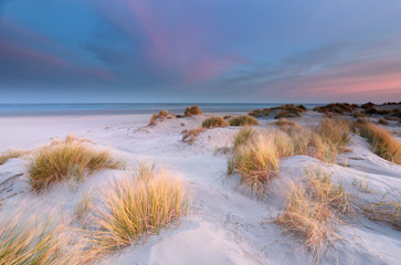 sand dunes by North sea beach at sunrise