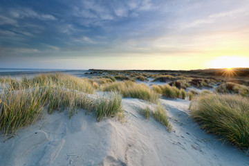 Fototapeta na wymiar sunrise over sand dunes by north sea coast