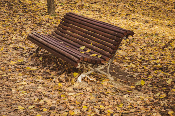 lonely wooden bench surrounded by dry fallen leaves in a quiet park in an autumn afternoon