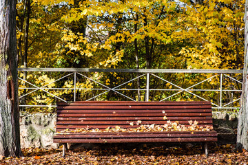 lonely wooden bench surrounded by dry fallen leaves in a quiet park in an autumn afternoon