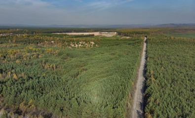 Fototapeta premium road in the middle of the forest