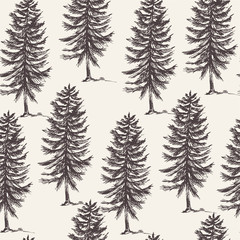 Obraz premium Vector natural forest seamless pattern of evegreen trees