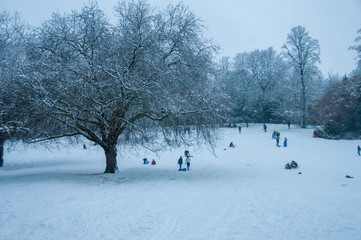 Sledging in Thornes Park