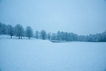 Wakefield Park in the Snow