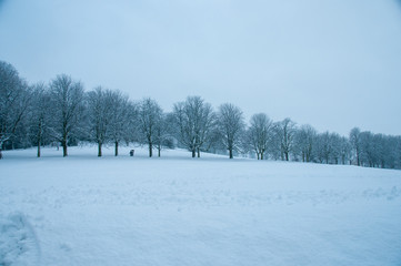 Wakefield Park in the Snow