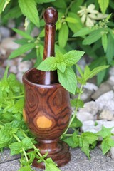 mint crusher for mojito drinks