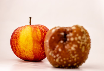 A rotten and a fresh apple one behind the other top view isolated on white background focus on rotten apple
