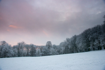 Fototapeta premium Wakefield Park in the Snow