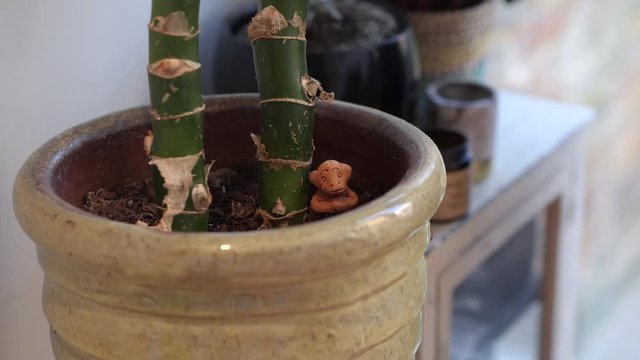Clay monkey sits in plant pot