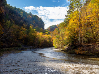 Gorgeous Beauty of NY Sta