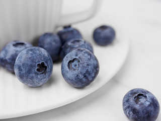 Close up of blueberries on white