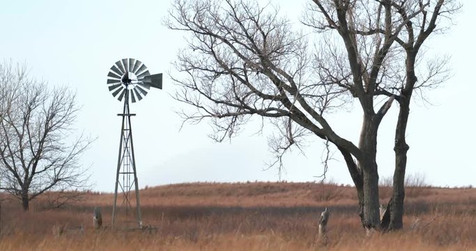 old windmill amongst trees