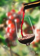 Nalewanie czerwonego wina na tle winnicy