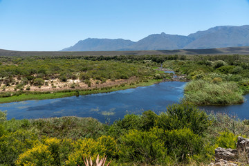 Fototapeta na wymiar Swellendam, Western Cape, South Africa. December 2019. The Breede River viewed from Aloe Hill, Bontebok on the Garden Route.