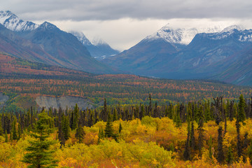 Matanuska glacier during fall season in Alaska