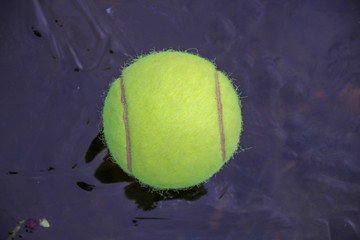 One tennis ball on a frozen pond in winter