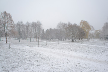 Snowy city park with a white field and trees.