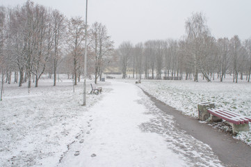 Snowy city park with a white field and trees.