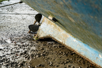 Bicht bei Ebbe in der Bretagne