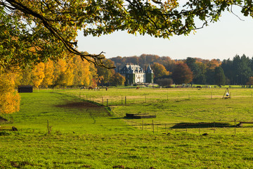Fototapeta premium House on a background of autumn forest.