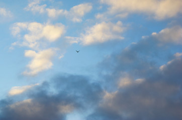 blue sky with clouds