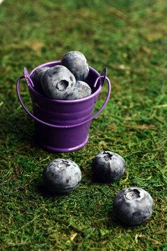 bucket of fresh blueberry on green grass. Vertical image