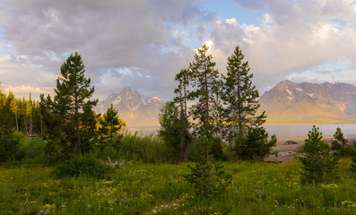 Amazing view of the Grand teton national park