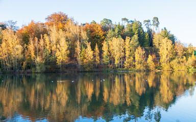 beautiful autumn park at sunny weather
