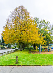 Burien Park In Autumn 8