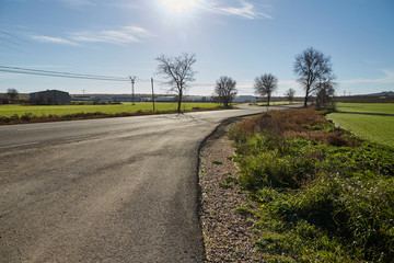 Campo
