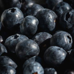 Gorup of blueberries in detail, macro of blueberries