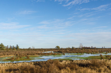 Flooded plain grassland with a dry stone wall
