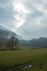 Cumbrian Landscape