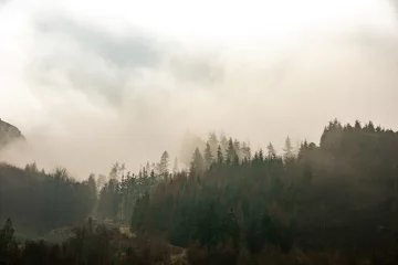 Papier Peint photo autocollant Forêt dans le brouillard Arbres de Cumbrie dans le paysage