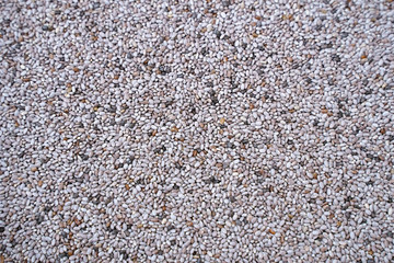 The chia seeds. Healthy superfood. Selective focus        