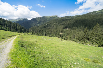 Fototapeta na wymiar Hiking path in Alps